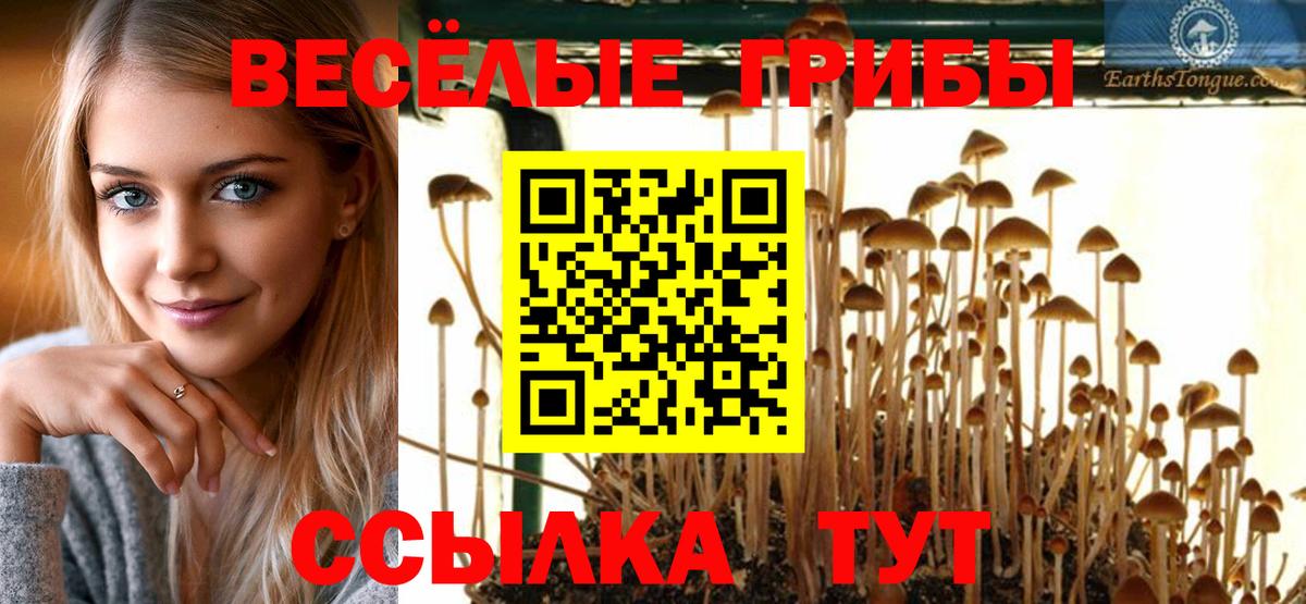 Галлюциногенные грибы Psilocybine cubensis Сегежа
