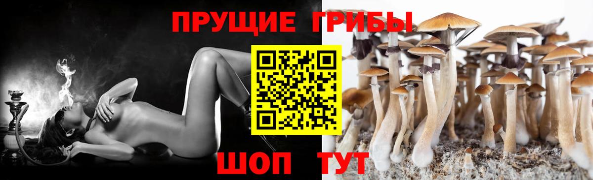 Сегежа  Псилоцибиновые грибы Magic Shrooms  Вход с VPN  Галлюциногенные грибы GOLDEN TEACHER 