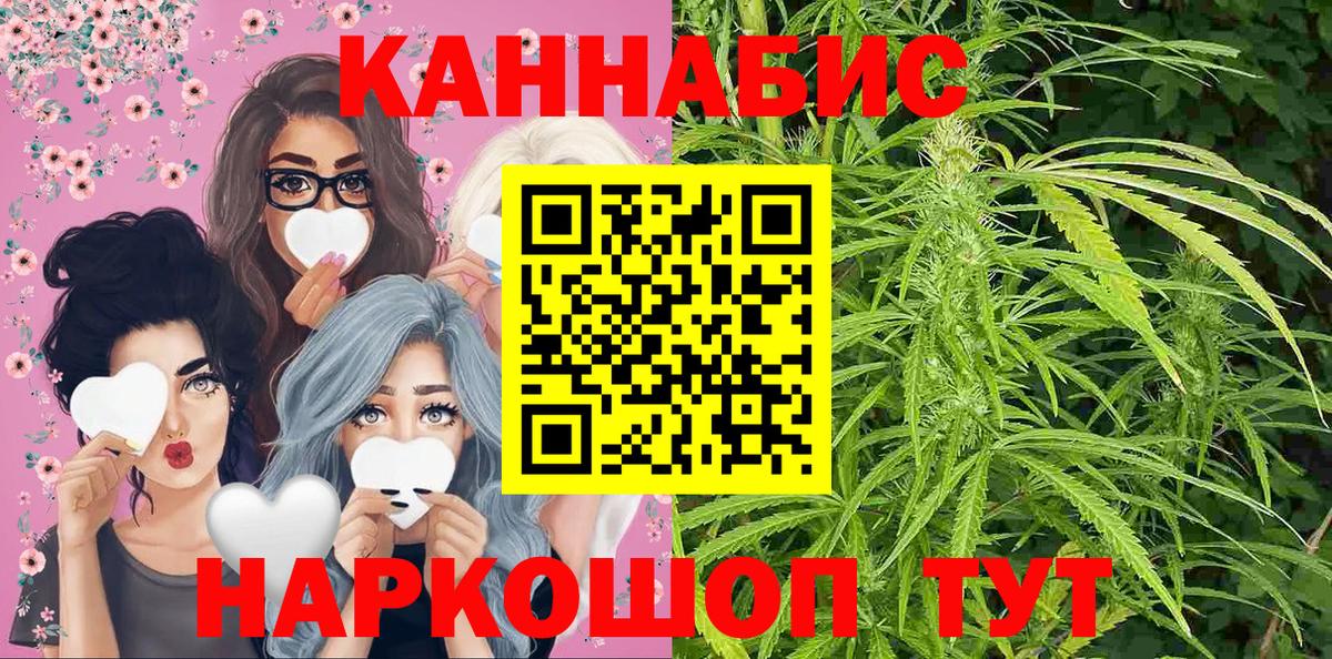 МАРИХУАНА конопля Сегежа